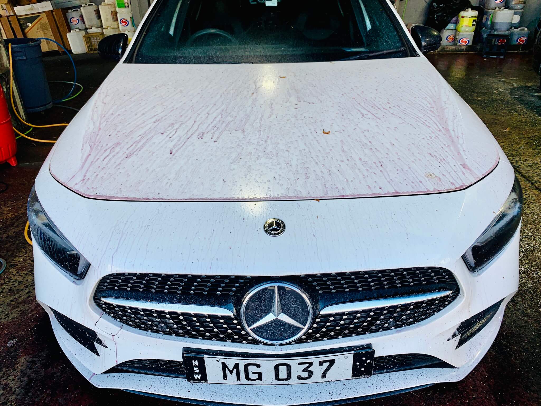 Zoom